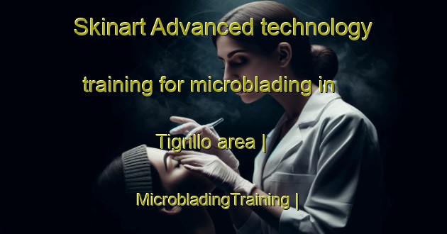 Skinart Advanced technology training for microblading in Tigrillo area | MicrobladingTraining | MicrobladingClasses | SkinartTraining-Venezuela